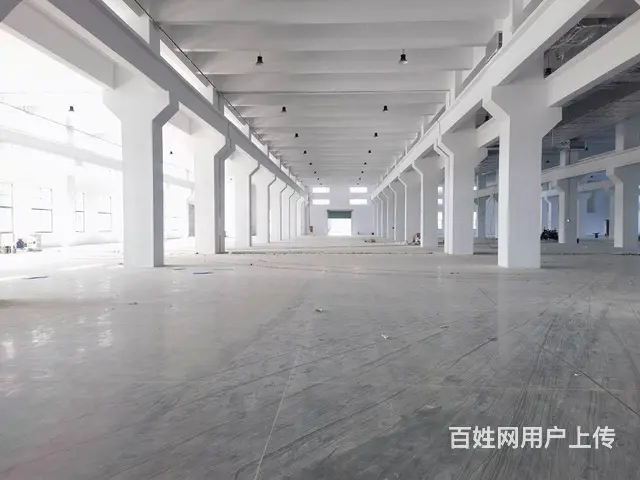 礼嘉新建一层厂房《真实有效》原子大 - 图片 5