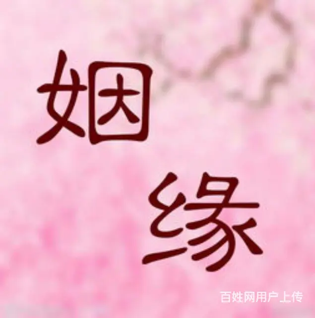 苏州本地退休阿姨说媒联盟，主打一个不收费 - 图片 1