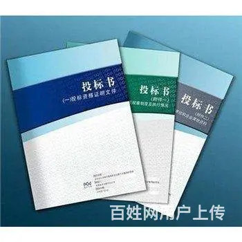 沈阳本地标书制作公司标书报名打印上传全过程服务 - 图片 7