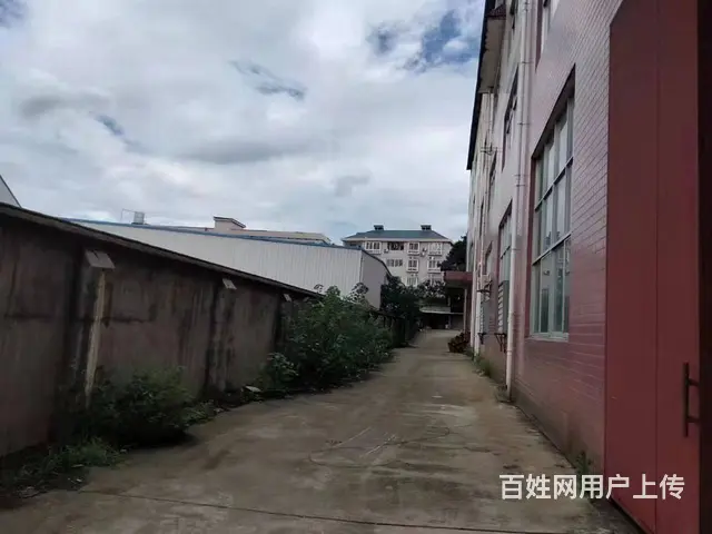 （房东直租）开福区大明工业园厂房/仓库房东优价出租 6402 - 图片 4