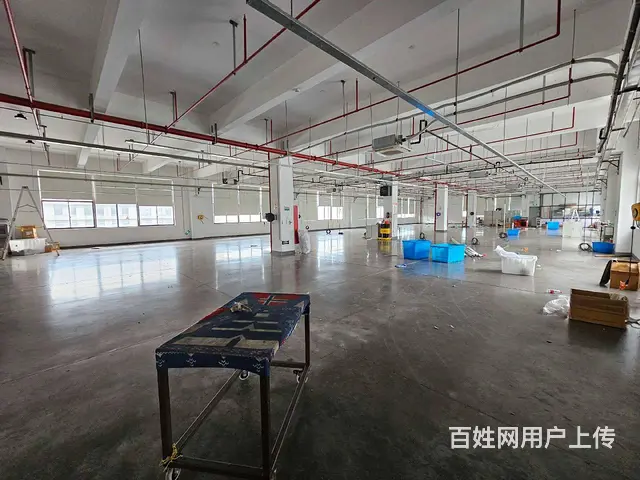 大义单层5800平和2800平方，可分租，有行车，可环评 - 图片 8