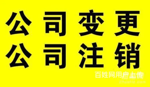 青海代办公司注销青海办理公司注销业务西宁注销公司 - 图片 6