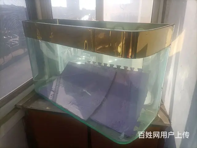 鱼缸 - 图片 1