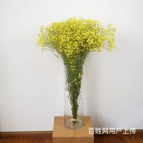 斗南教师节备货云南美旗花卉长期批发玫瑰向日葵满天星 - 图片 2