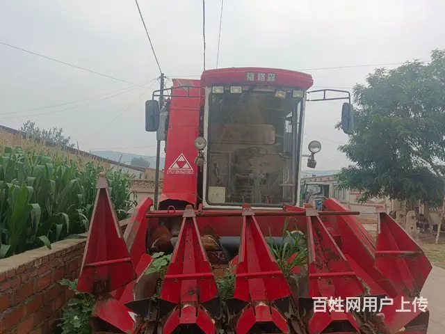 福格森玉米收割机 - 图片 1