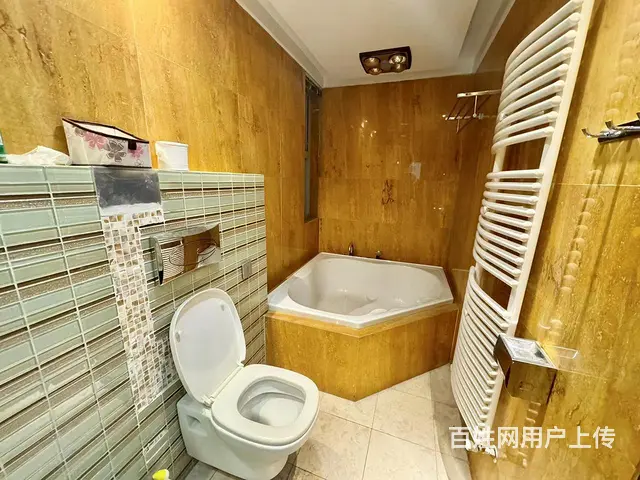 紧急出租南北163.13平 - 图片 9