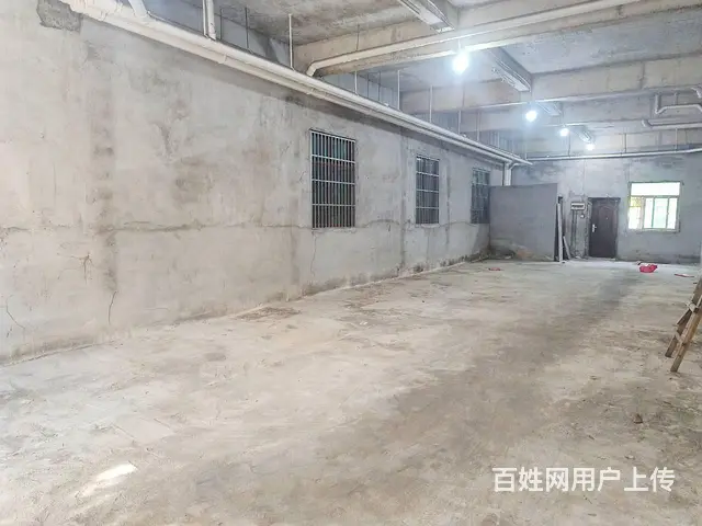 （51旺铺推荐）荔枝沟新中路180平店铺出租 - 图片 11