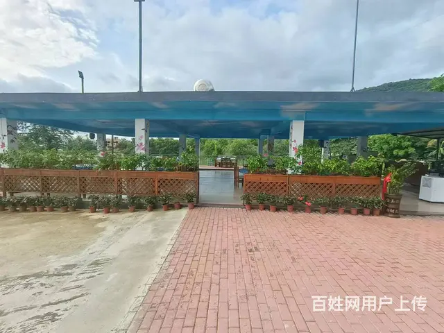 （51旺铺推荐）荔枝沟花神谷生态园鱼塘及场地招合作伙伴 - 图片 4