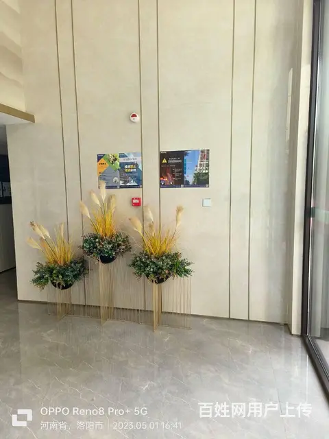 金科绿都天辰 普通住宅2厅 简单装修 - 图片 1