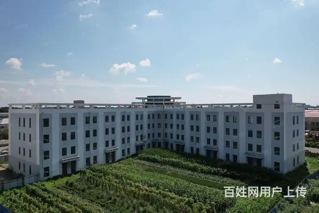 香坊区平顺街4号写字楼出租 - 图片 3