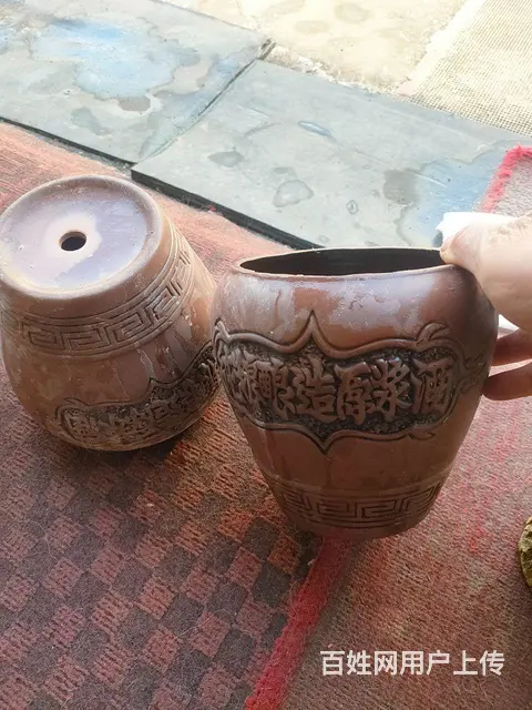 黄荆，中华野生红枸杞盆景，酒瓶花盆 - 图片 7
