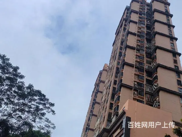长提路 商圈    长堤明珠隔壁2房毛坯房 - 图片 11