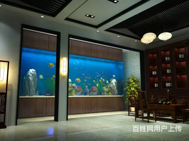 苏州玻璃鱼缸定做定制养护公司电话 - 图片 4