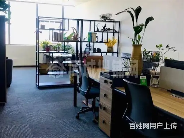 望龙东郡180平写字楼出租或转让 - 图片 4