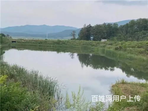 丰满旺起山庄水库出租出售，丰满坝上土地出售 - 图片 6