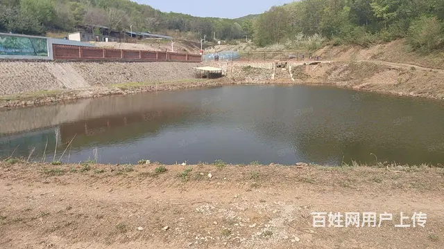 阿城黄榆沟养殖场出售 - 图片 3