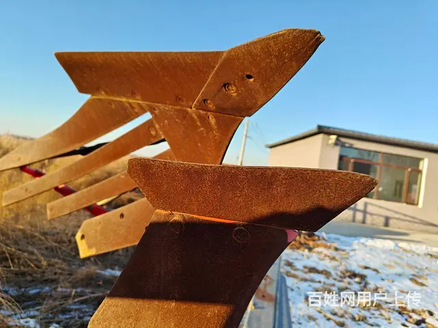 真霸道450翻转犁 - 图片 4