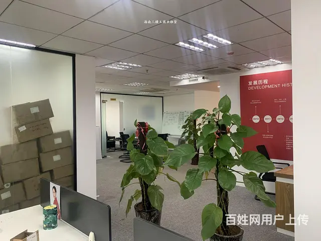 （三横王）龙华中心区196平直租，管理得当； - 图片 7