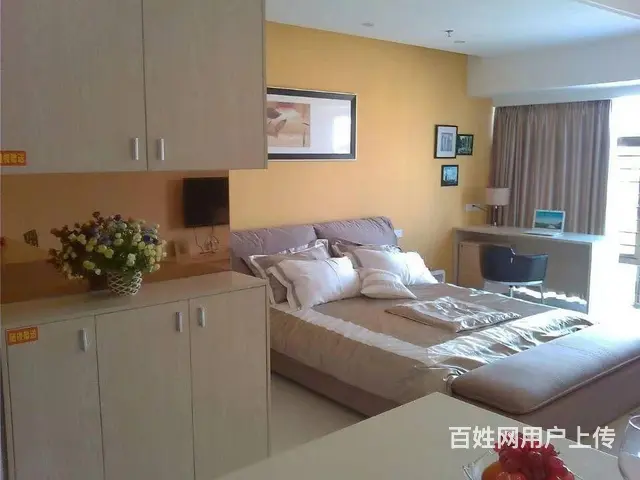 【搞定了！】海田高级公寓家具齐备拎包入住 商住两用1厅 豪华 - 图片 2