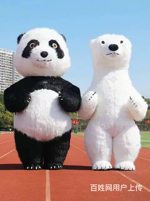 出租小丑  青蛙衣服 - 图片 3