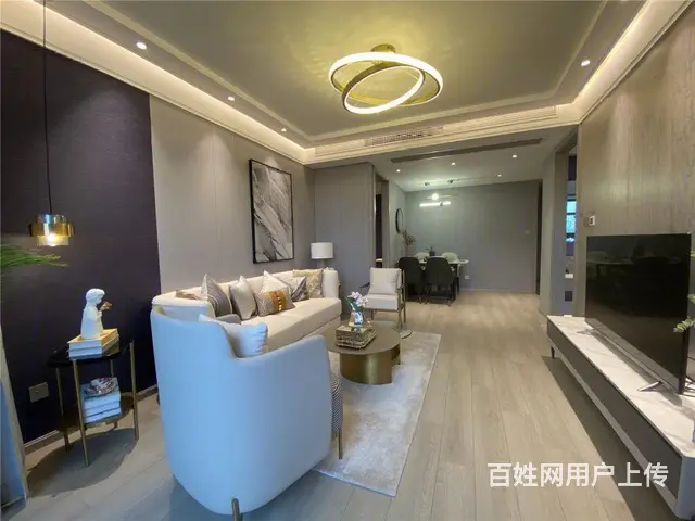 解忧湖旁火楼盘首付二十五万起三成首付地铁口车接车送 - 图片 11