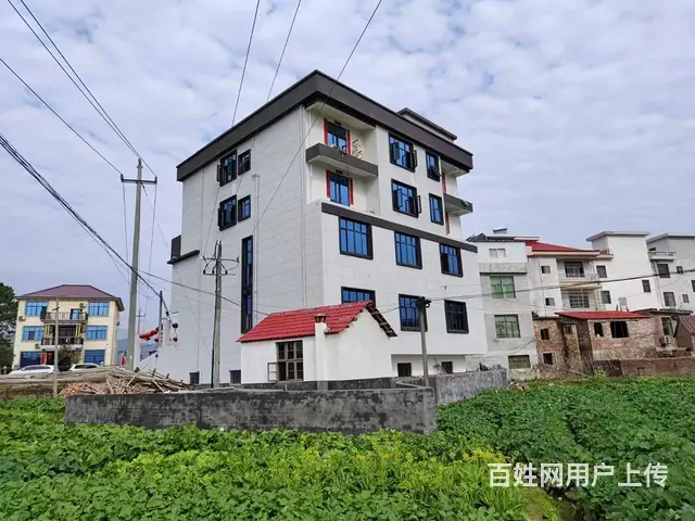 (麦子邦免费找店)房东直租,龙门镇菜市场出口三层临街商铺! - 图片 5