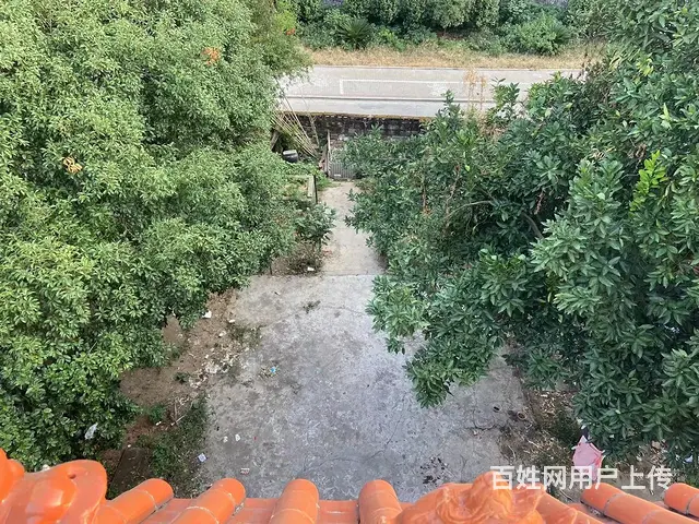 茶山路凤凰山 普通住宅 简单装修 - 图片 5
