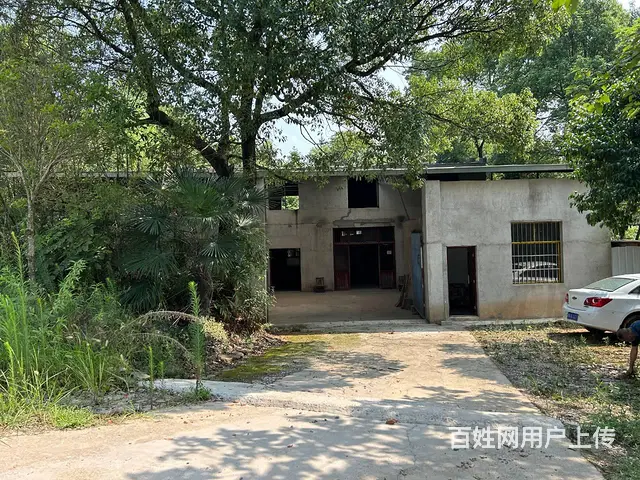 （老板本人）长沙县黄兴镇自建厂房仓库出租  6299 - 图片 1