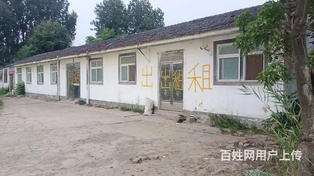 房屋出租 - 图片 1