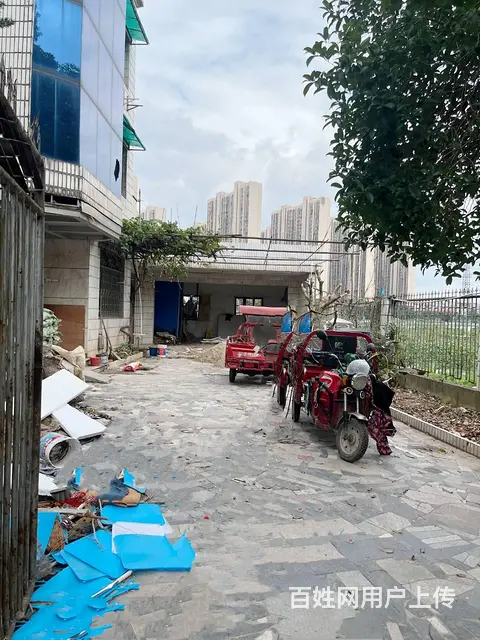 （老板本人）开福区洪山桥整栋房屋/厂房仓库出租  6578 - 图片 2