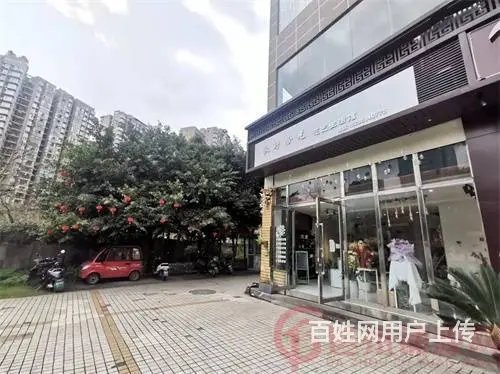 （达州铺源）西外棕榈岛附近40㎡花店转让（可空转外摆带夹层） - 图片 3