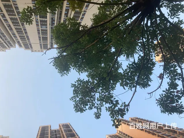 期待一个有缘人相依相伴 ～ - 图片 2