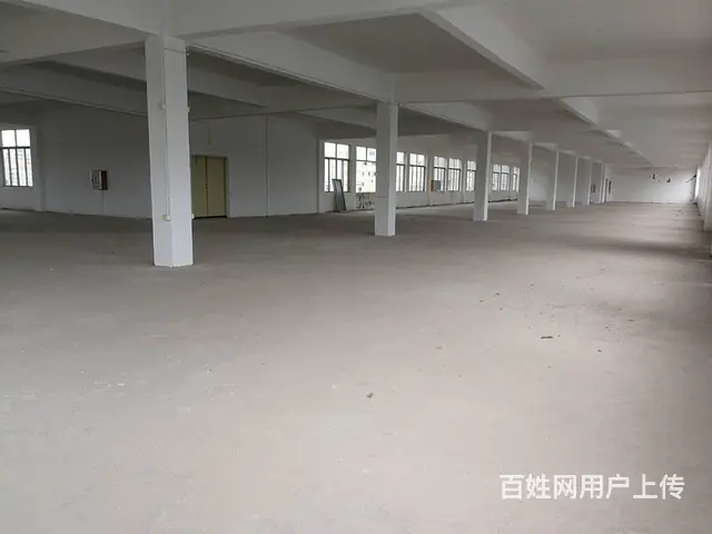 斗门珠峰大道旁全新厂房 - 图片 4