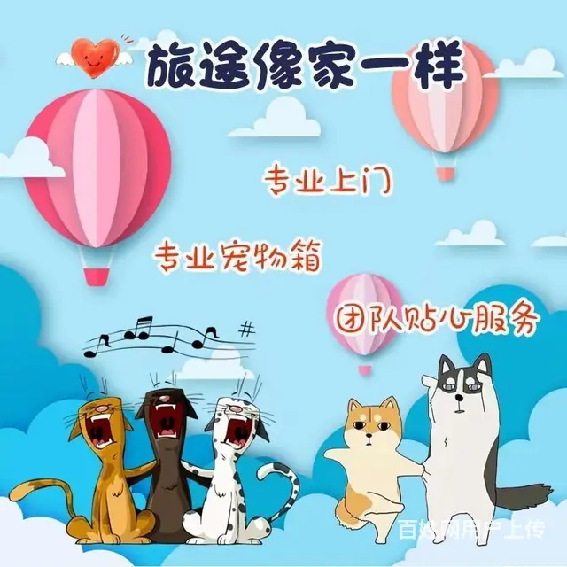 丽水宠物托运（猫咪狗狗）（承接活体运输邮寄）代办检疫证 上门 - 图片 2