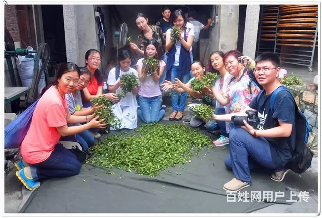 天晟茶艺培训学校有分校吗? - 图片 12