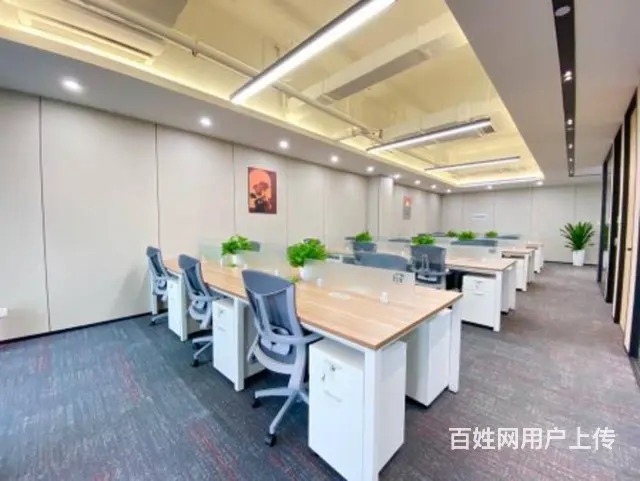 西南财大丨西门高品质精装可订制丨蓝润摩里中心人力资源 - 图片 2