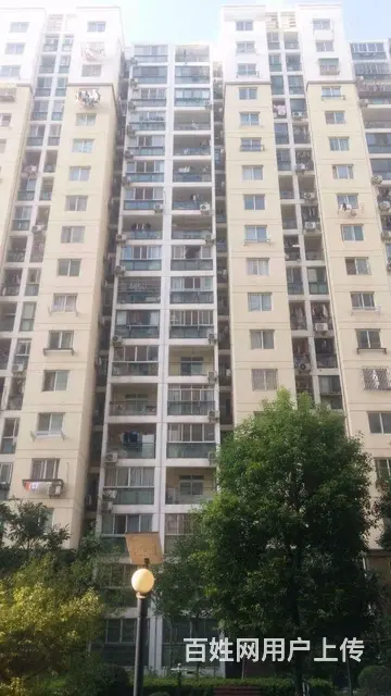 店长重点推荐！华侨城原岸好房出租，居住舒适，干净整 - 图片 12