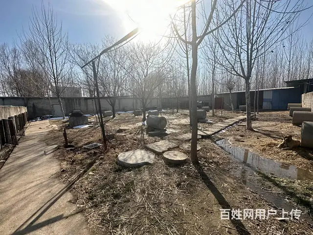 【弘扬快讯】 徐丰公路旁铜山区3亩多独院出租 - 图片 2