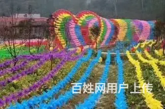 盐城暖场荷兰风车租赁 春季美陈荷兰风车租赁公司 - 图片 9