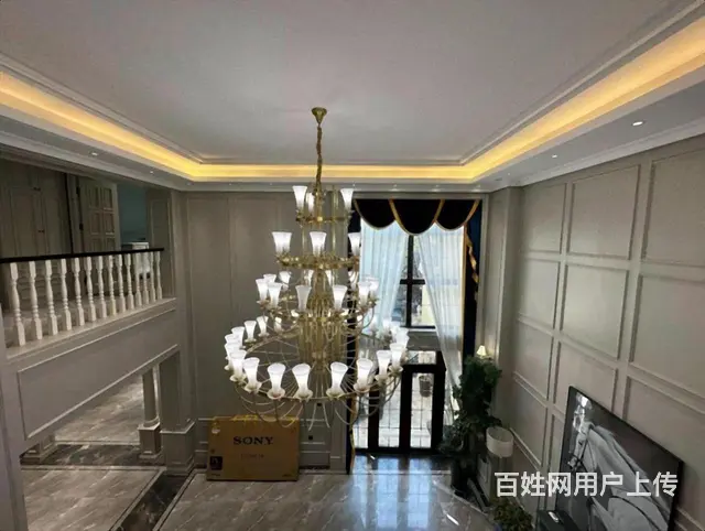 直降300W 车库 溪岸艺墅独栋  700米八室200米花园 - 图片 12