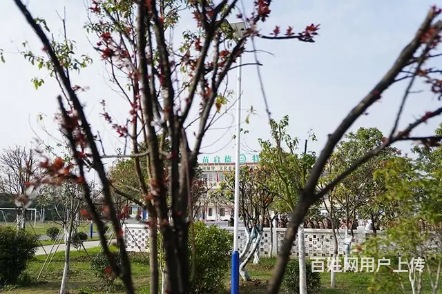 吉林松原厌学青少年改变学校 军事化素质教育学校联系 - 图片 8