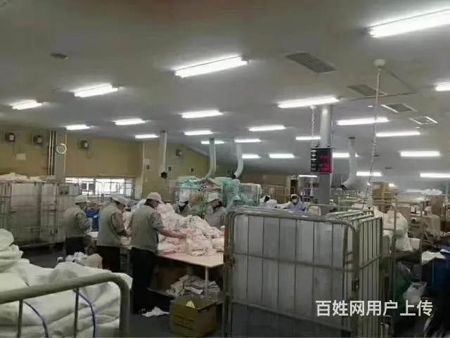 a大事件-抢钱中-出国劳务-保签保工作年薪40万 - 图片 5