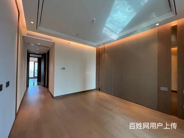 汉街SKP 融创壹号院 御湖世家 4房3卫 方正客 - 图片 7