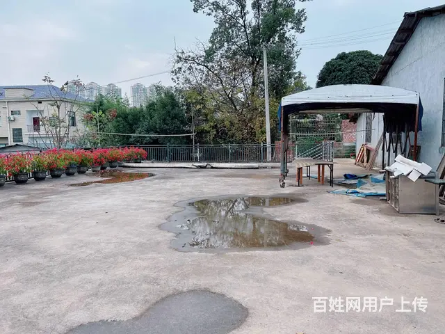 （老板本人）雨花区跳马镇独栋房屋仓储/农家乐会所出租5743 - 图片 11