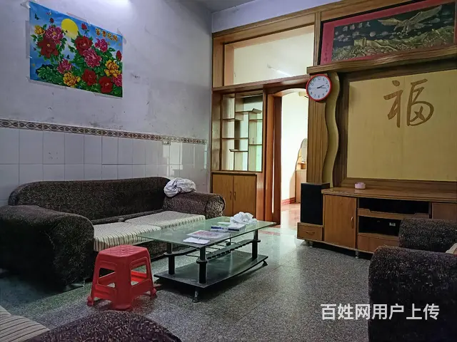 金川南大道 1室1厅1卫 精装修 - 图片 1