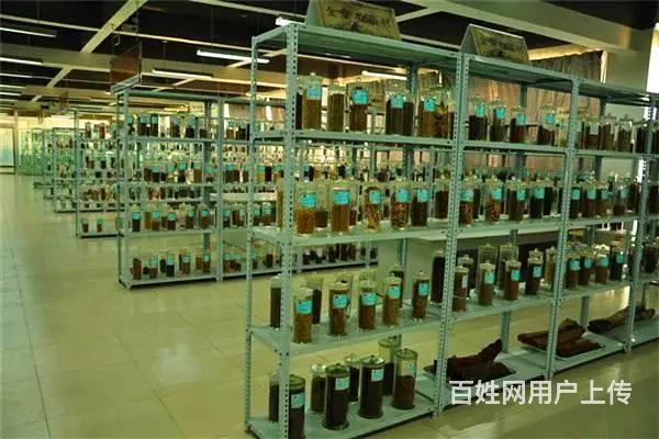 烟台卫校2024年招生简章 - 图片 3