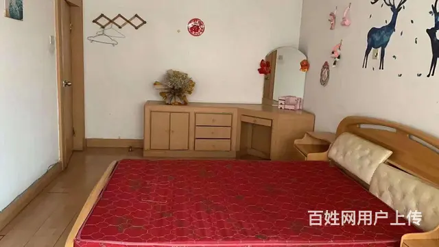 华茂小区口腔医院附近3室1厅朝阳650 - 图片 5