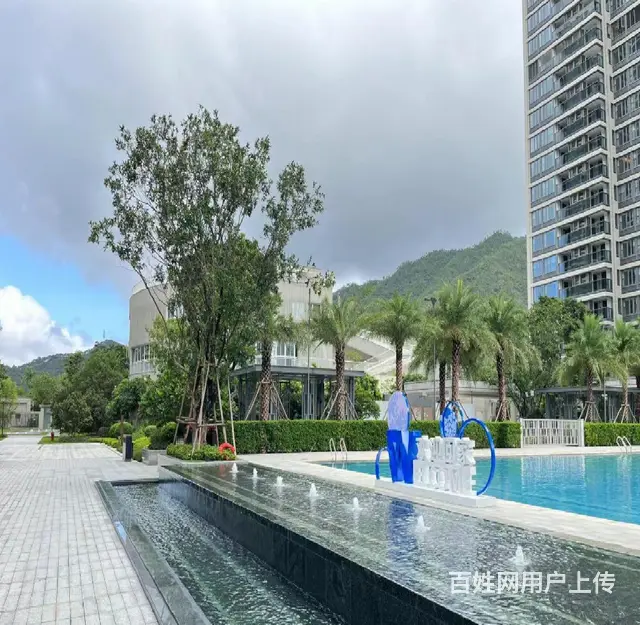 近信息港 金凤小 学旁 800米宝龙城 全新3房家电家私齐全 - 图片 11