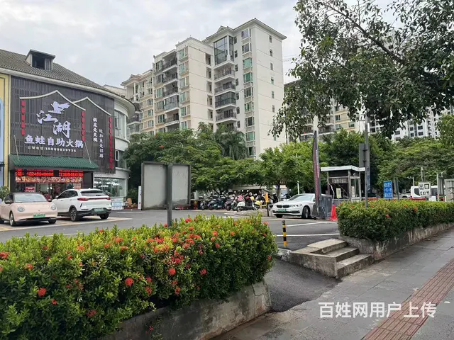（51旺铺推荐）南海大道三层独栋500平江湖鱼蛙自助 - 图片 12