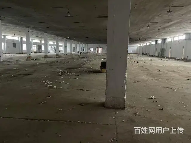 淄川区罗村镇厂房出租 - 图片 4